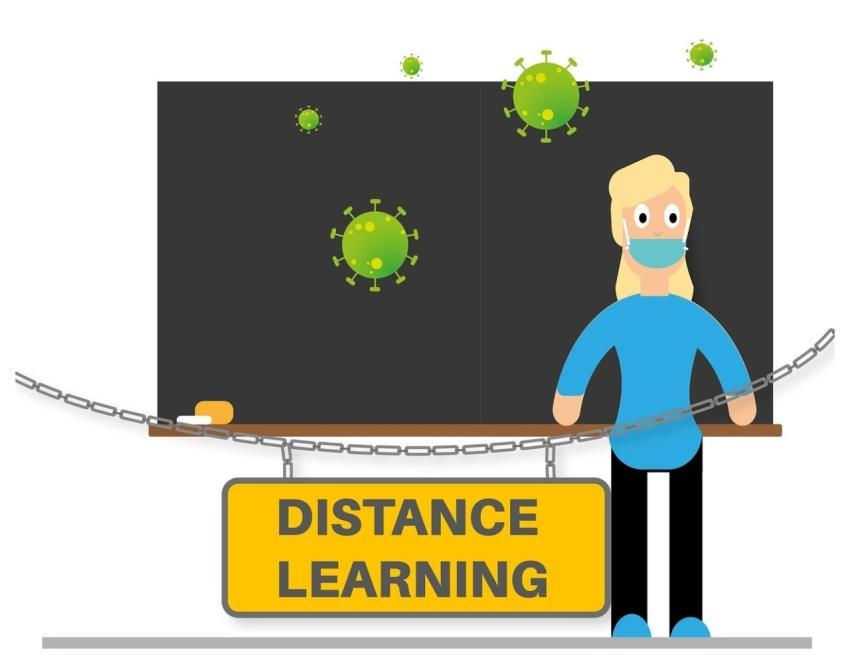 Distance Learning Teacher School Homeschooling