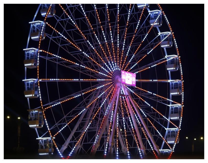 Ferris Wheel Theme Park Amusement Park Christmas F
