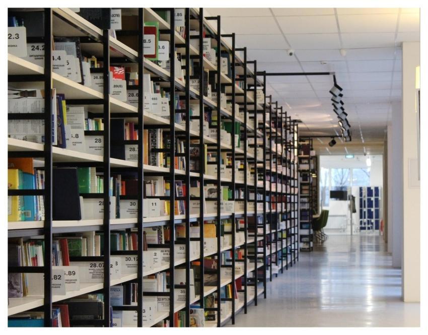 Library Books Rack Shelves