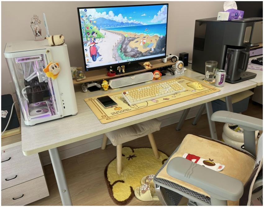 Cozy Gaming Setup Pc