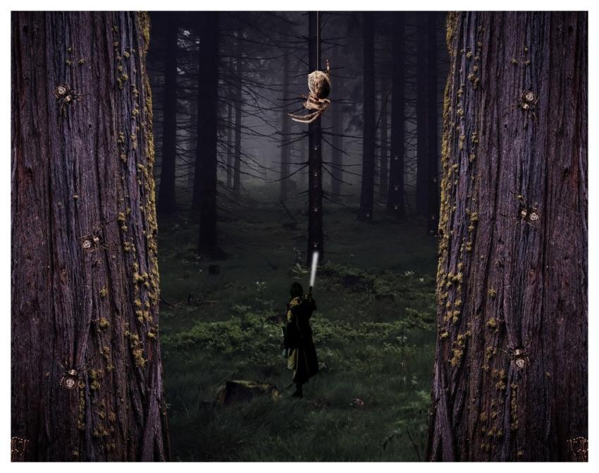 Spiders Forest Trees Girl