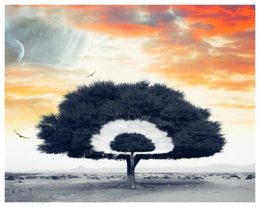 Creativity Abstract Artistic Nature