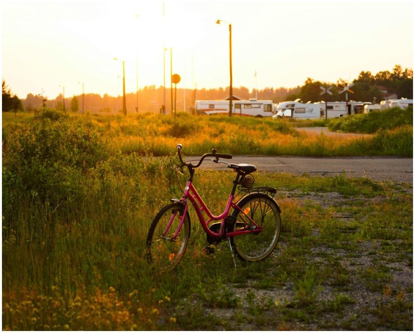 A pink bicycle rests on a grassy path at sunset, w