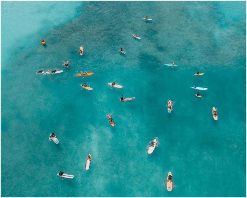 Aerial shot capturing surfers paddling in vibrant