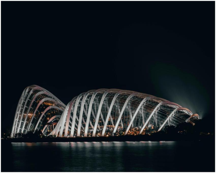 Dramatic night shot of the illuminated Flower Dome