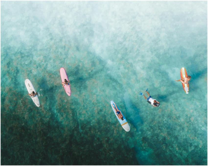 Top-down view of surfers paddling on surfboards in