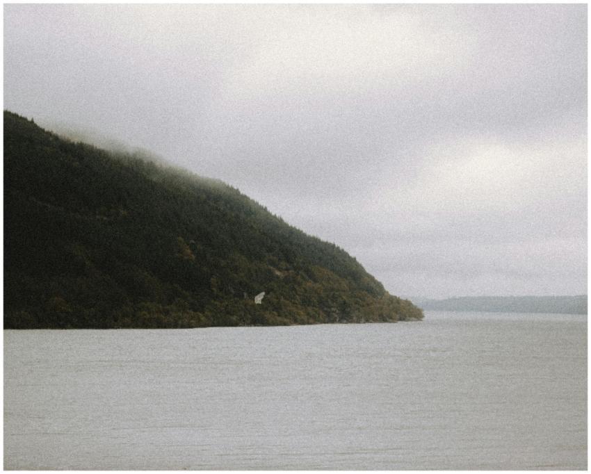 Spectacular view of rippled ocean near greenery ri