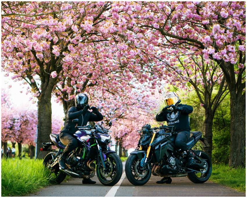 Two motorcyclists pose under vibrant cherry blosso