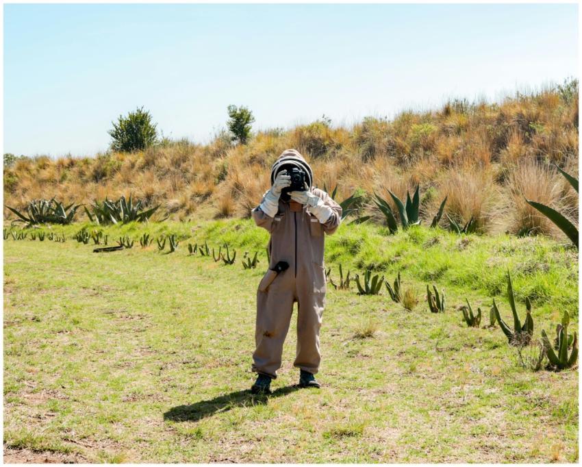 A beekeeper in a protective suit standing in a sun