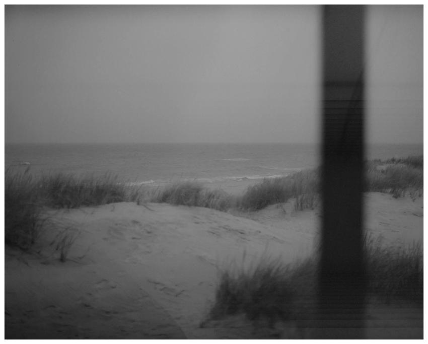 Grayscale beach scene with dunes, ocean waves, and