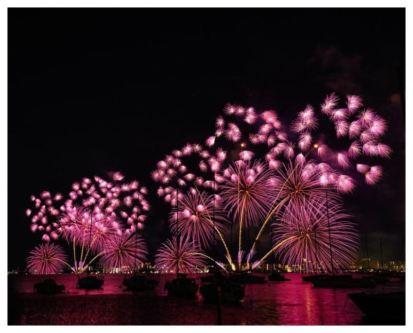 Fireworks Night Sky Pink Reflection In Water