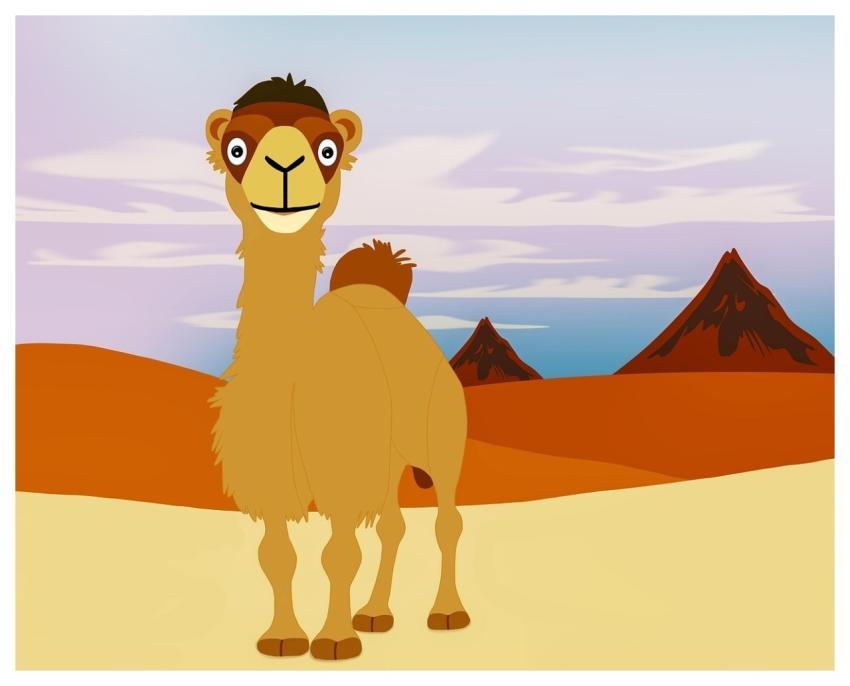 Camel Desert Nature Sand