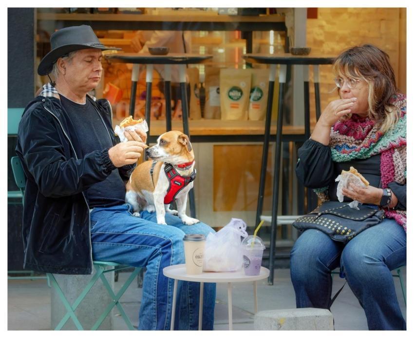 Couple Dog Pet Outdoors