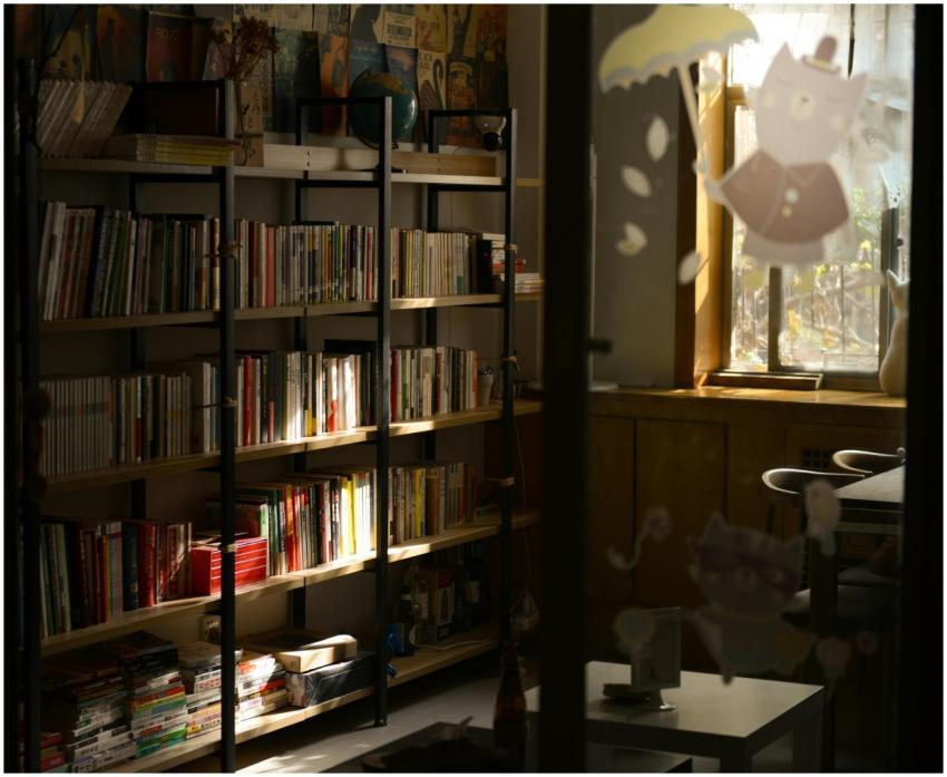 Warm sunlight illuminates a cozy library corner wi