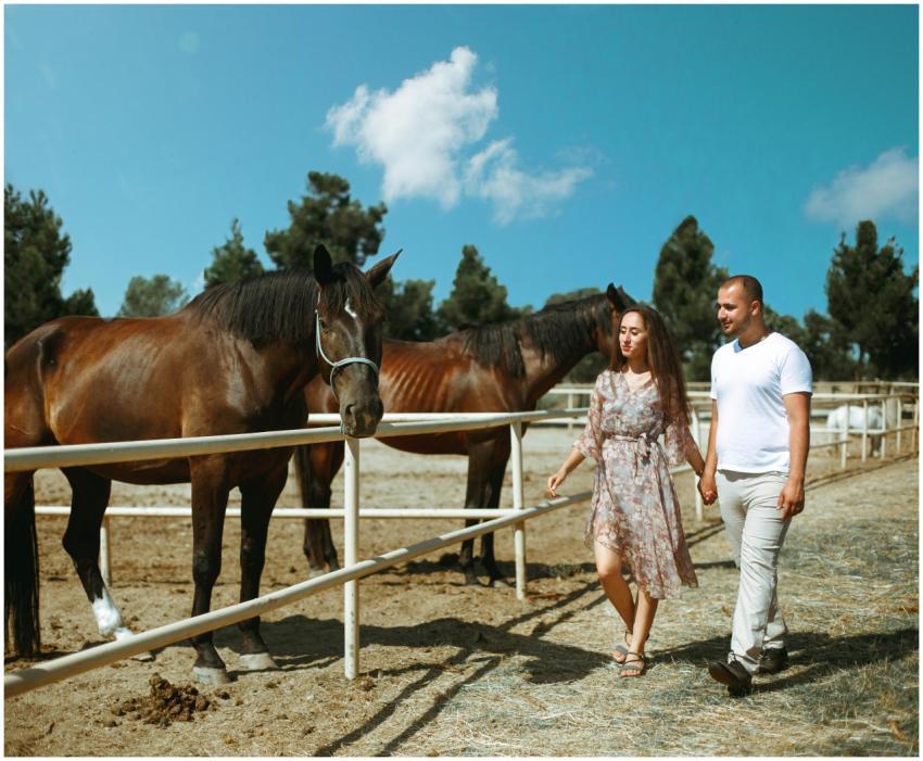 A couple walking hand in hand near horses in a sun