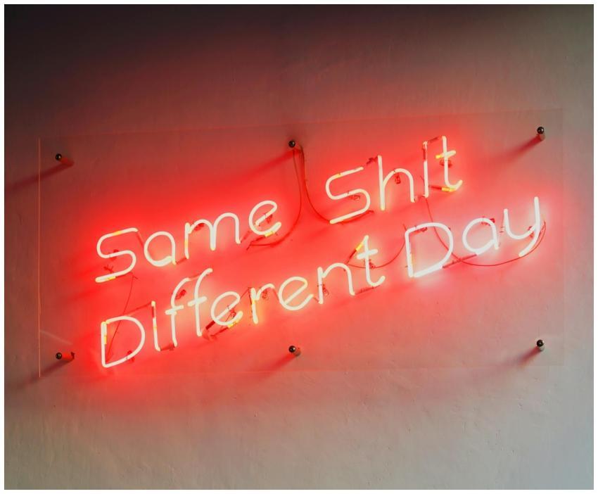Red neon sign displaying a humorous quote, perfect