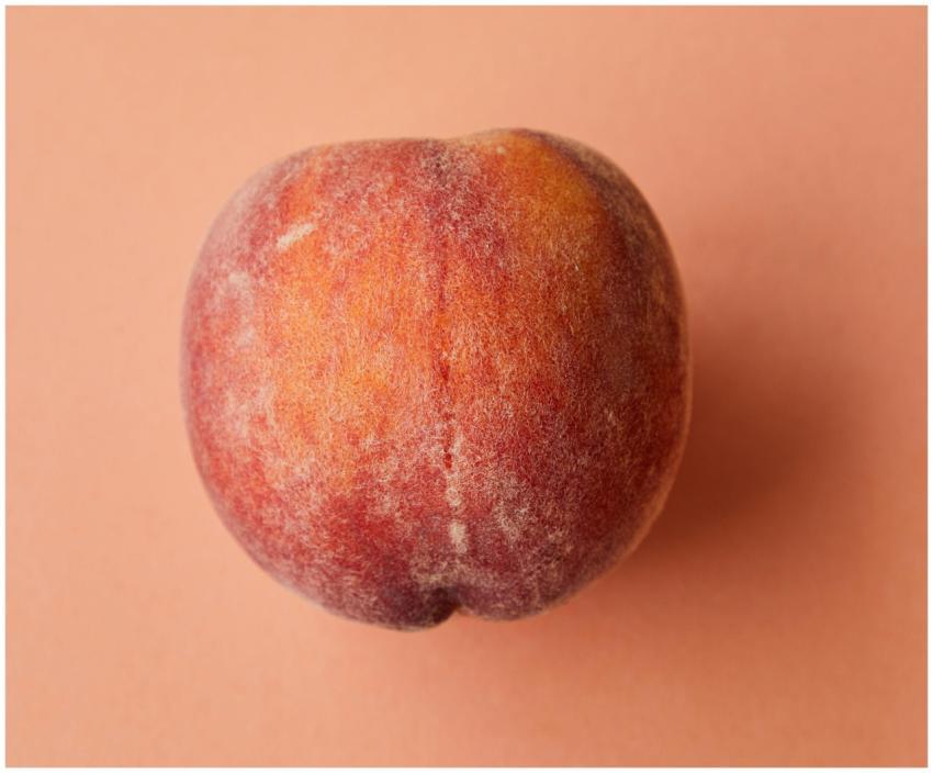 A detailed view of a fresh, ripe peach on a pink b