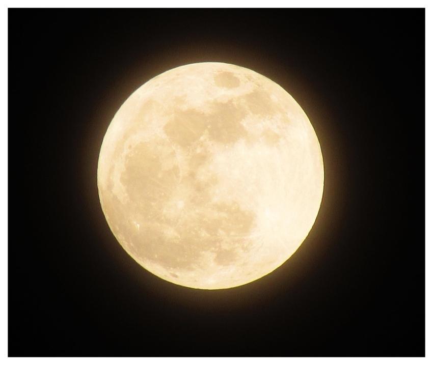 Moon Full Moon Night Night Sky