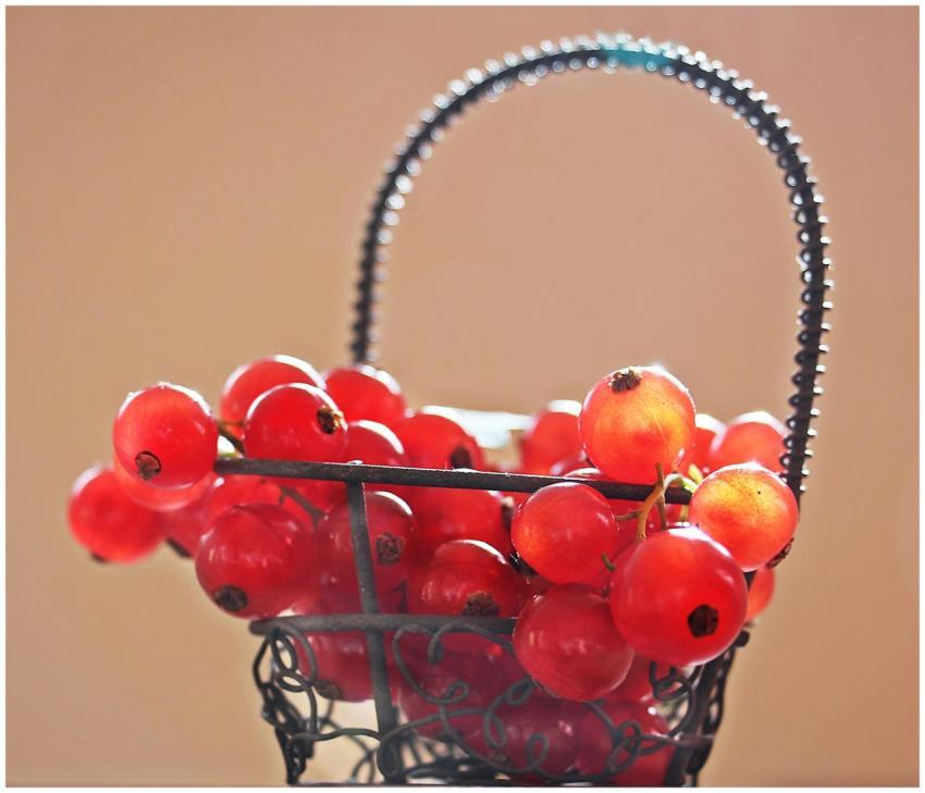 Close-up of juicy redcurrants in a decorative bask