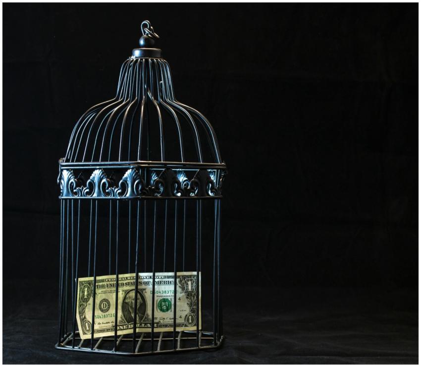 A dollar bill imprisoned in a decorative cage symb