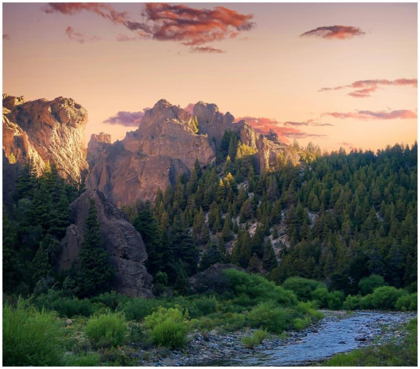 Beautiful mountain landscape with pine trees and a