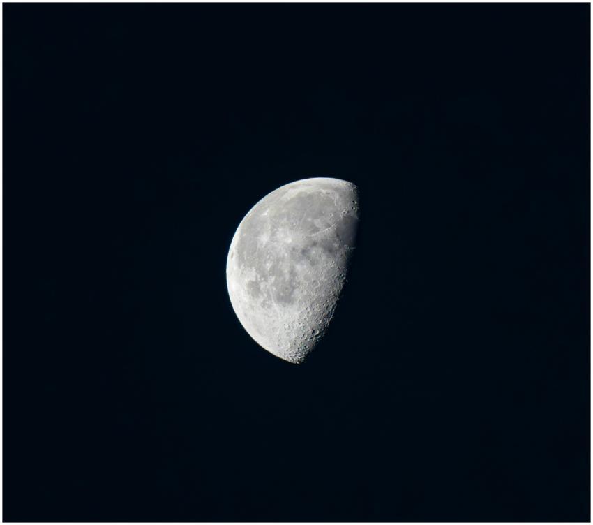 Stunning half moon captured in the clear night sky