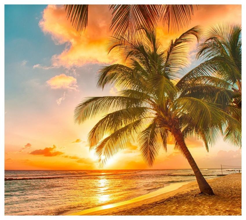 Narure Natue Nature Flower Background