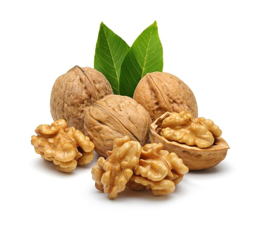 Walnut Akhrot Walnuts Nuts