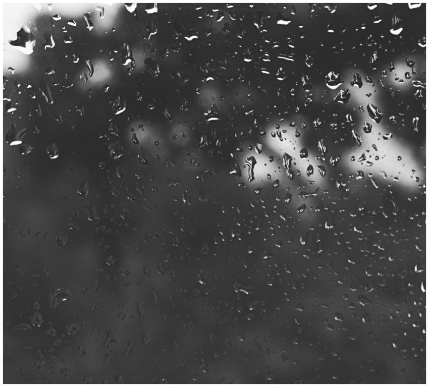 A detailed black and white image of raindrops on a