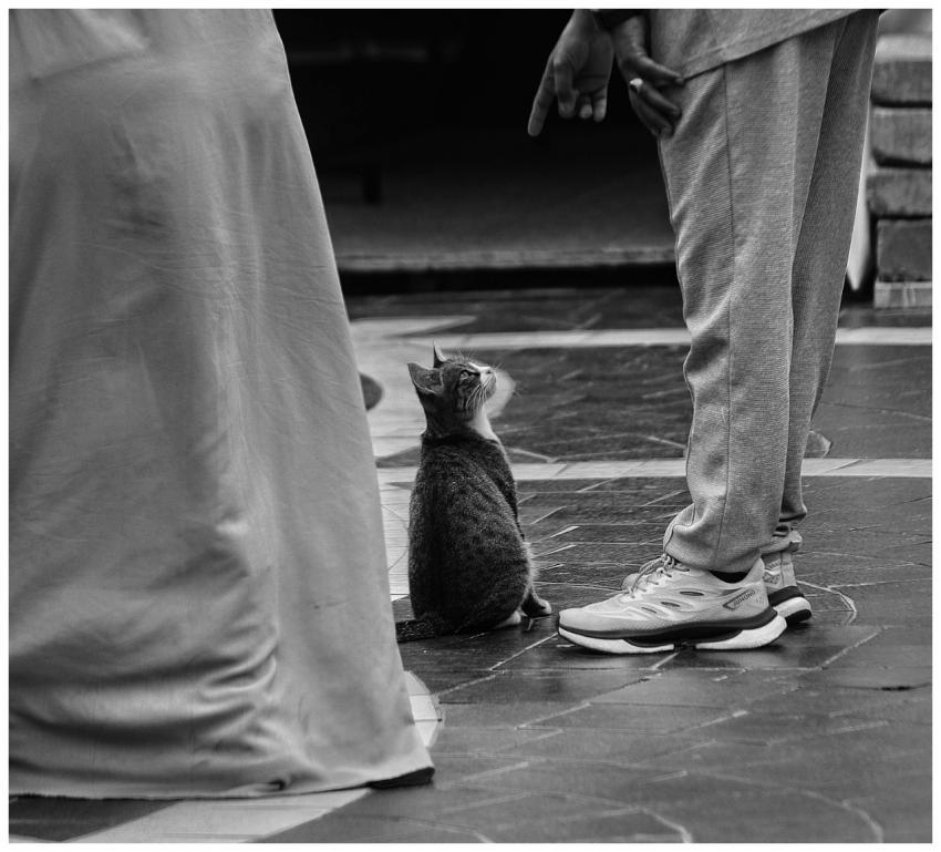 Black and white photo capturing a moment between a