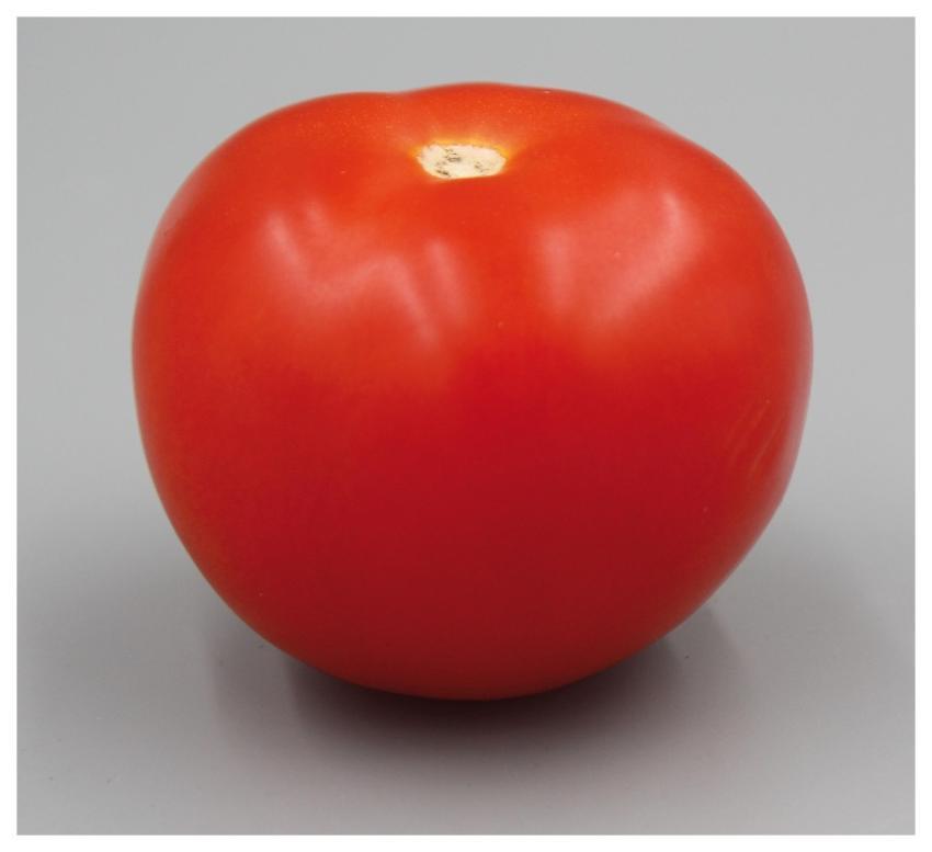 Tomato Vegetable Red Round