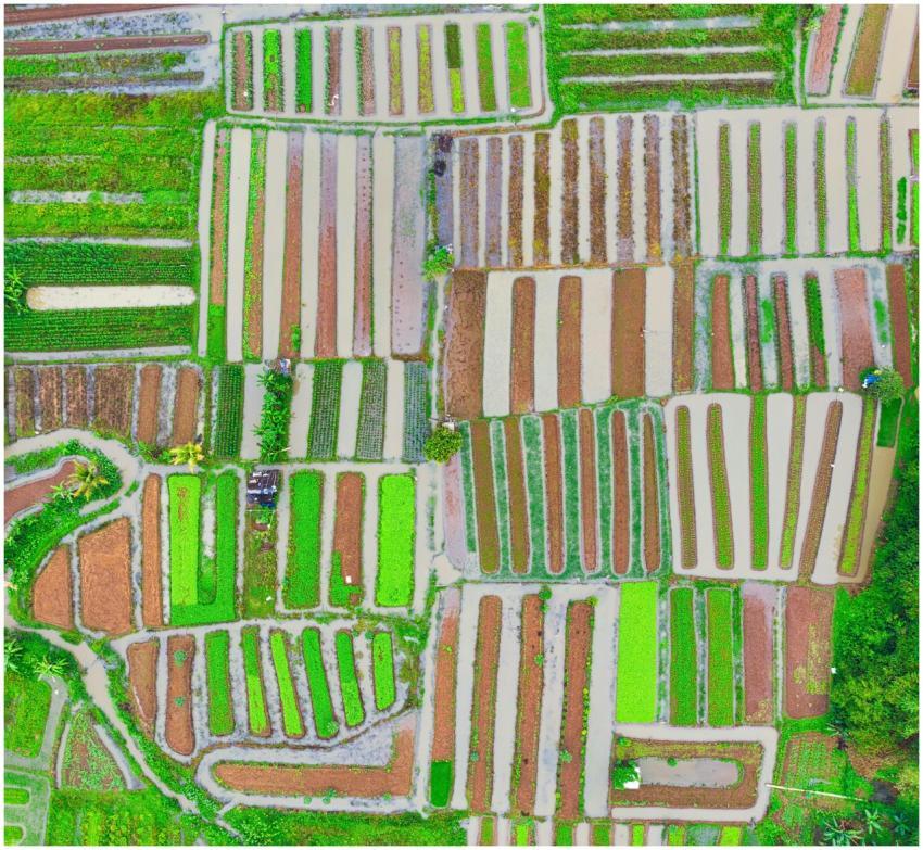 Colorful aerial view of farmland patterns in Bante