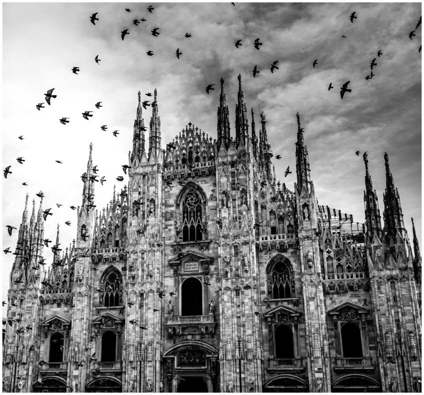 Black and white photo of Milan Cathedral with bird