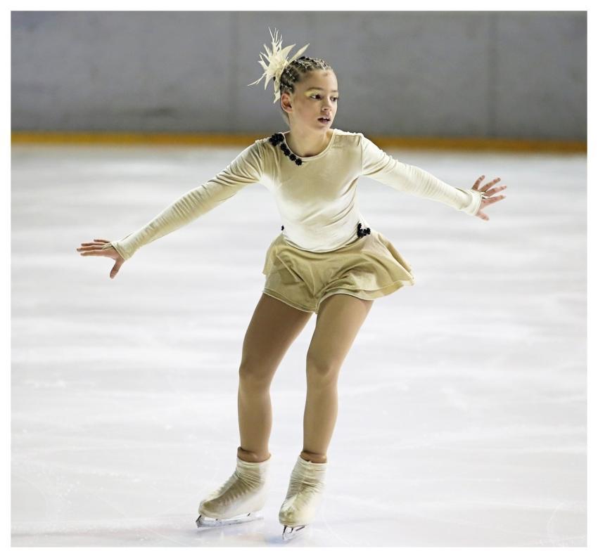 Figure Skater Ice Skater Ice Elegant