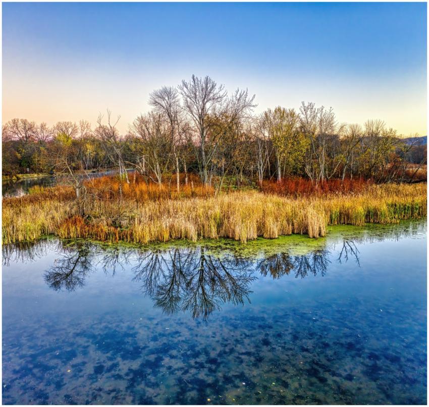 Serene lake scene in Minnesota with trees and refl