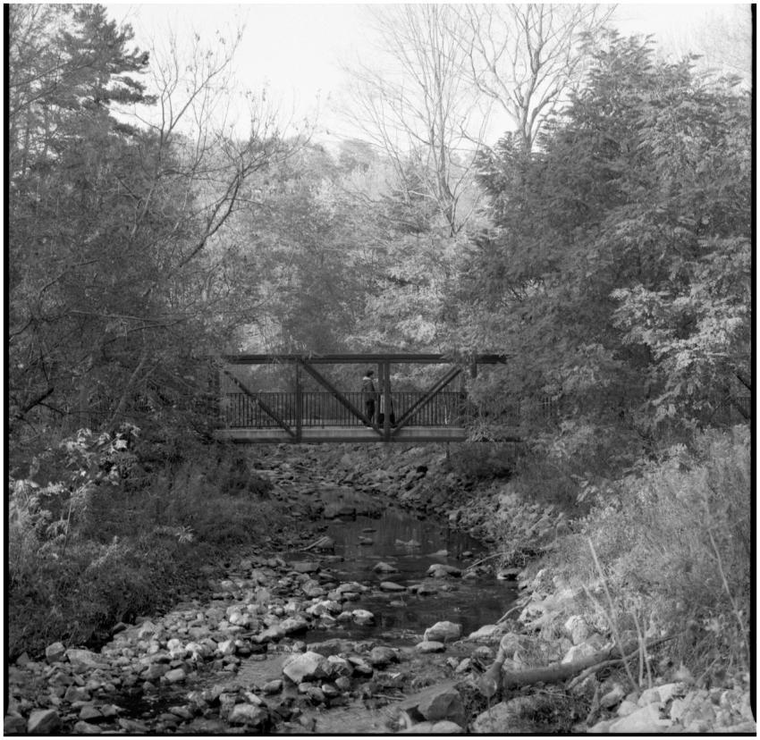 Free stock photo of 120mm, blackandwhite, film cam