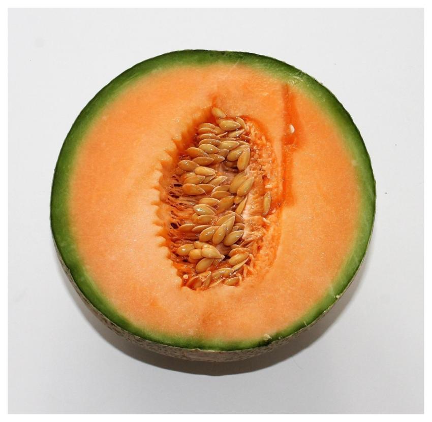 Melon Food Fruit Orange