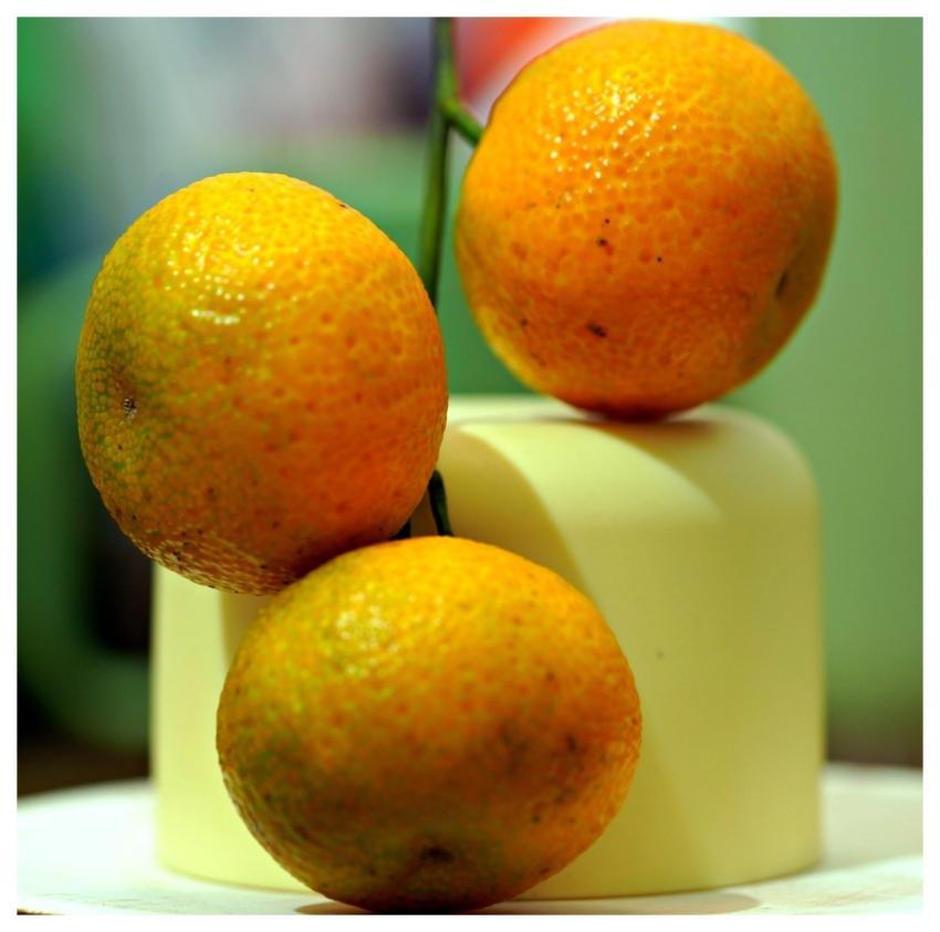 Orange Fruit Food Healthy