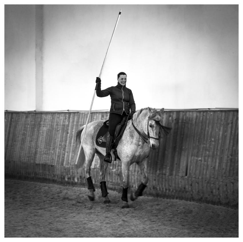 Horse Nature Animal Riding