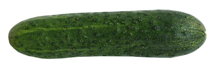 Cucumber Food Healthy Meal