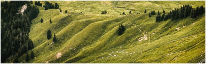 Beautiful aerial capture of green rolling hills an