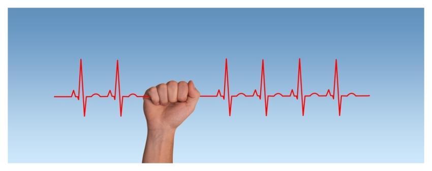 Pulse Frequency Heartbeat Heart