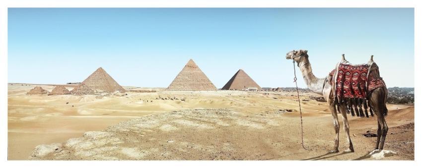 Desert Camel Sand Pyramid