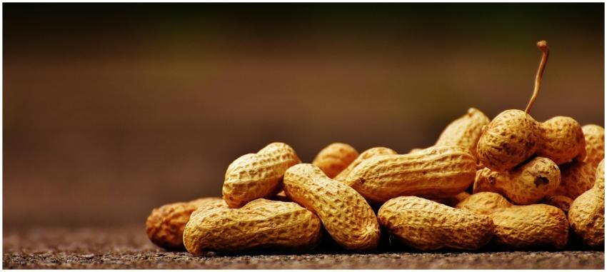 A focused close-up of unshelled peanuts on a rusti