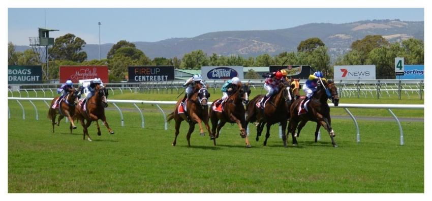 Horses Racing Jockey Sport