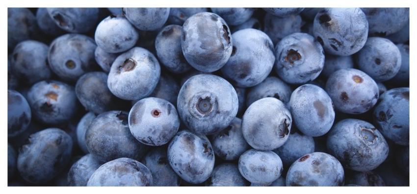 Blueberries Blue Berries Fruit