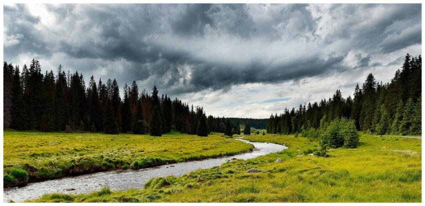 Tranquil forest landscape with river flowing under
