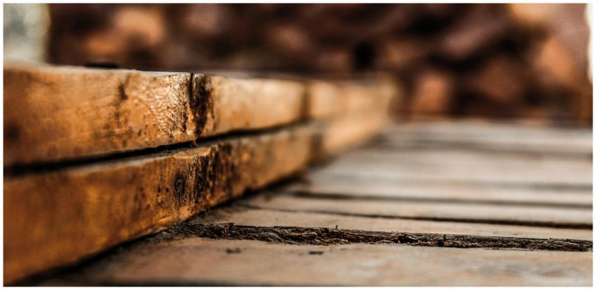 Detailed close-up of rustic wooden planks showcasi