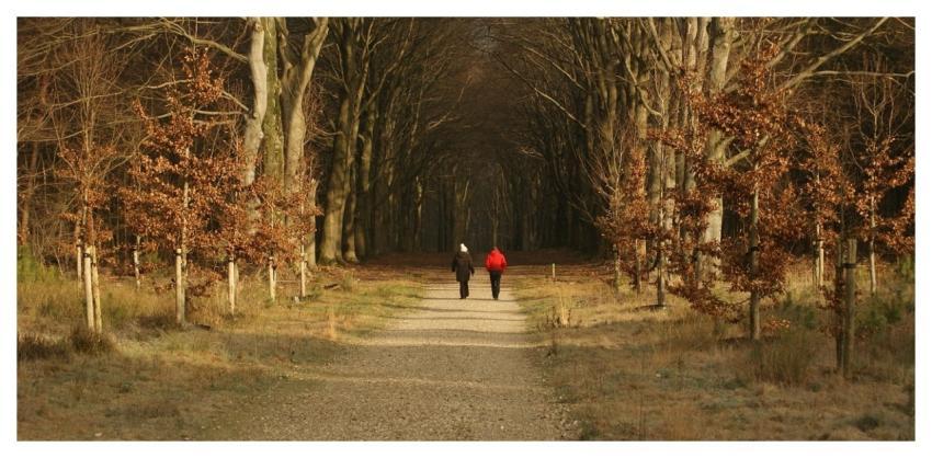Hiking Winter Path Cold