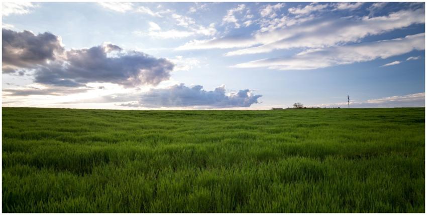 Expansive green field with dramatic clouds and bri
